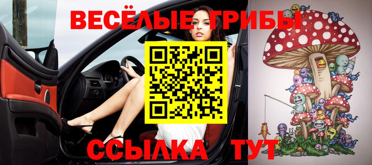 Галлюциногенные грибы MAGIC MUSHROOMS Электрогорск