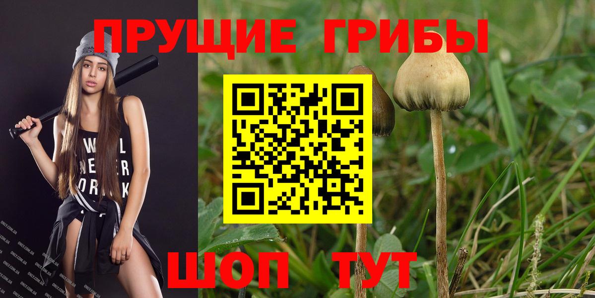 Меф мяу мяу Электрогорск