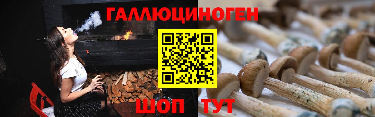 Псилоцибиновые грибы Psilocybine cubensis  Вход с VPN  Галлюциногенные грибы ЛСД  Электрогорск 